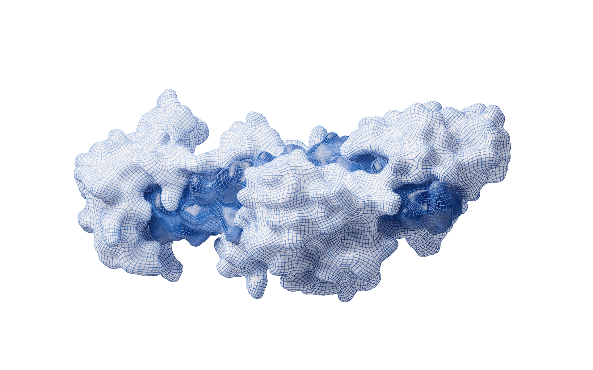 Enzyme