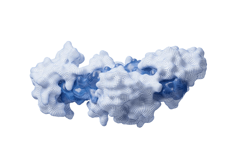 Enzyme Structure